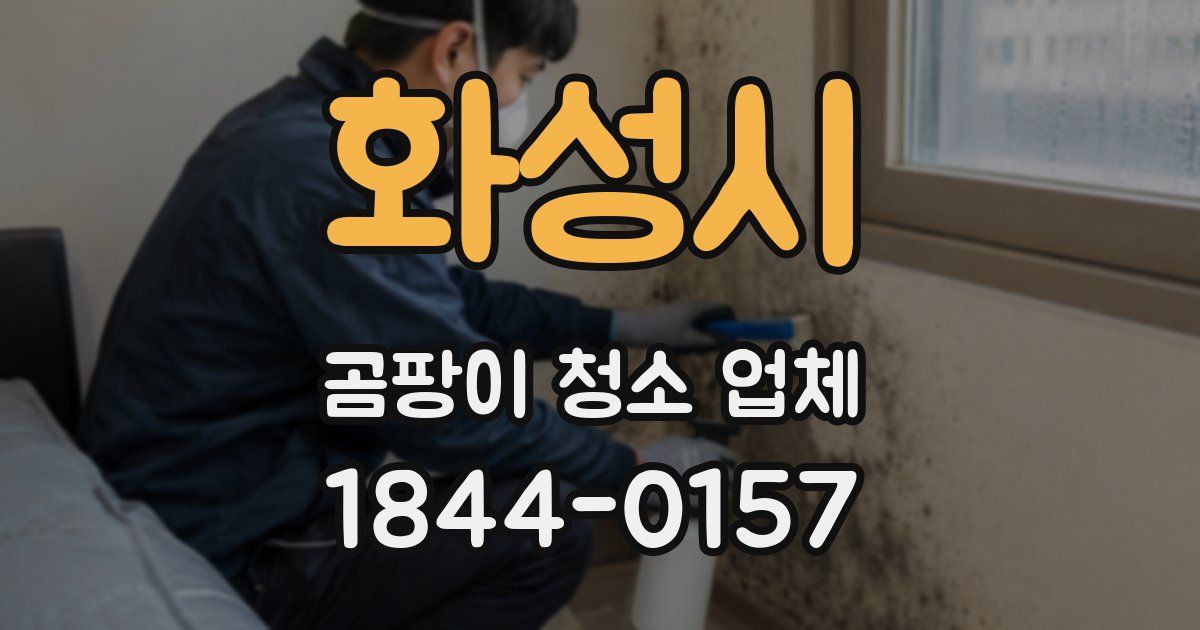 화성시 곰팡이 청소 업체
