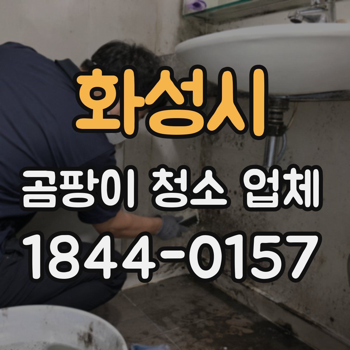 화성시 곰팡이 청소 업체