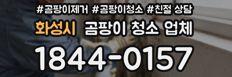 화성시 곰팡이 청소 업체