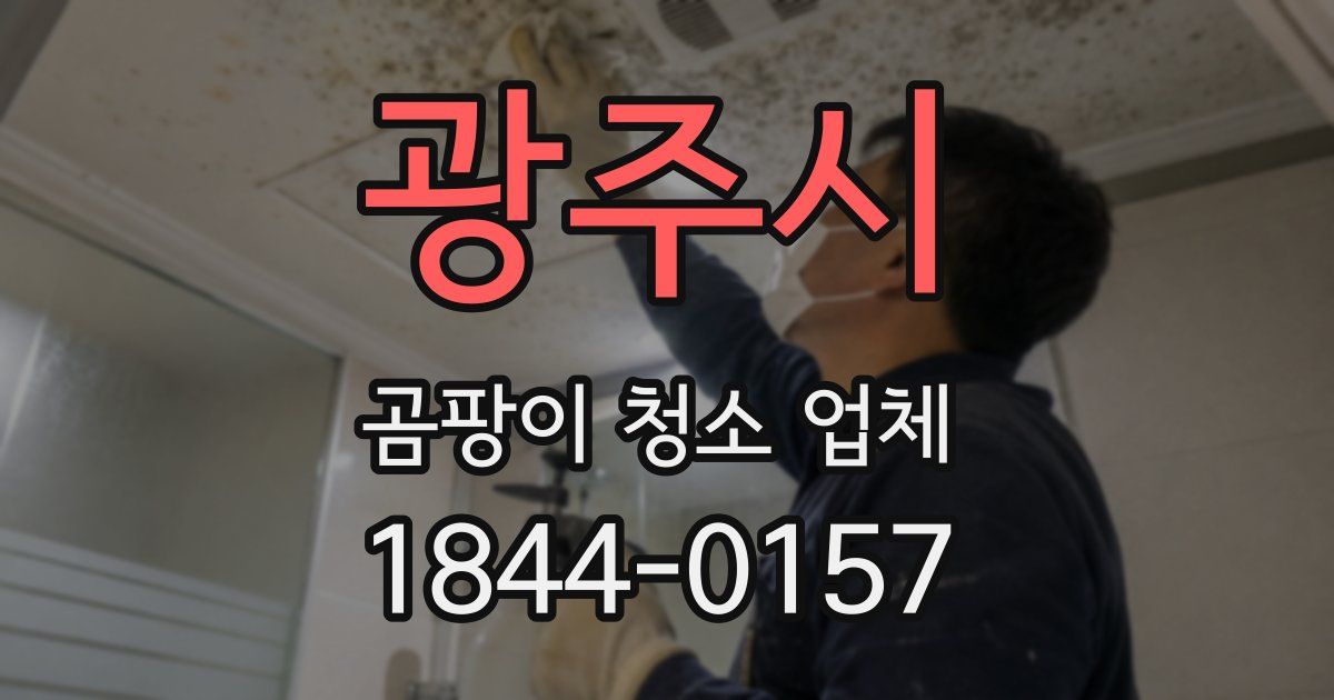광주시 곰팡이 청소 업체
