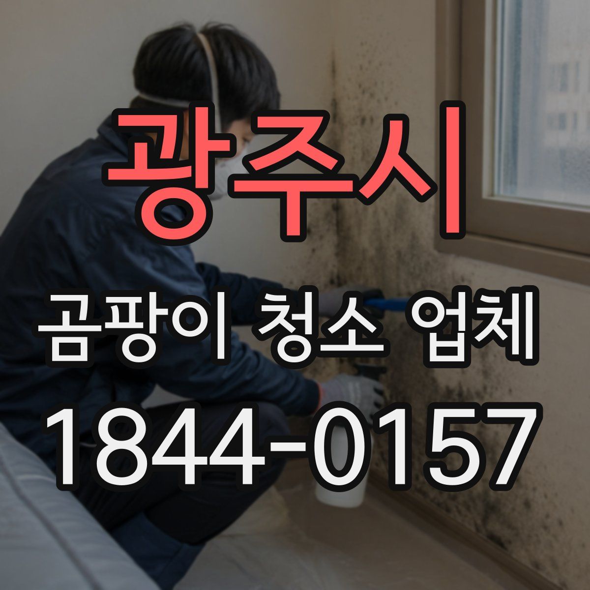 광주시 곰팡이 청소 업체