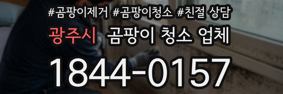 광주시 곰팡이 청소 업체