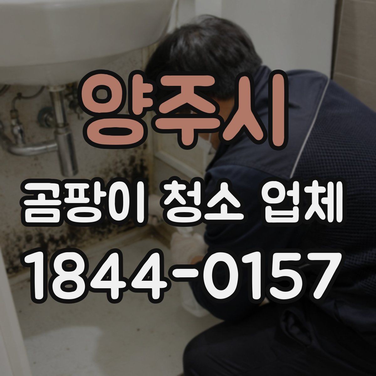 양주시 곰팡이 청소 업체 서비스를 요청하기 좋은 타이밍