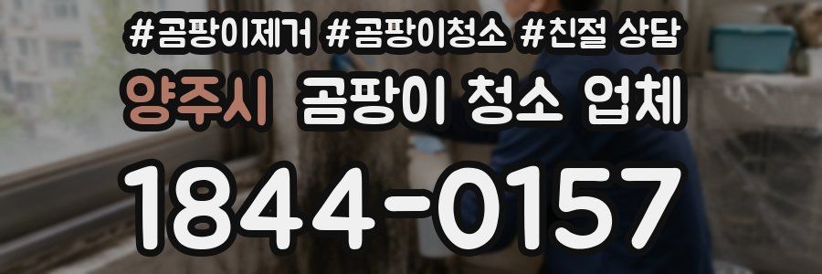 양주시 곰팡이 청소 업체