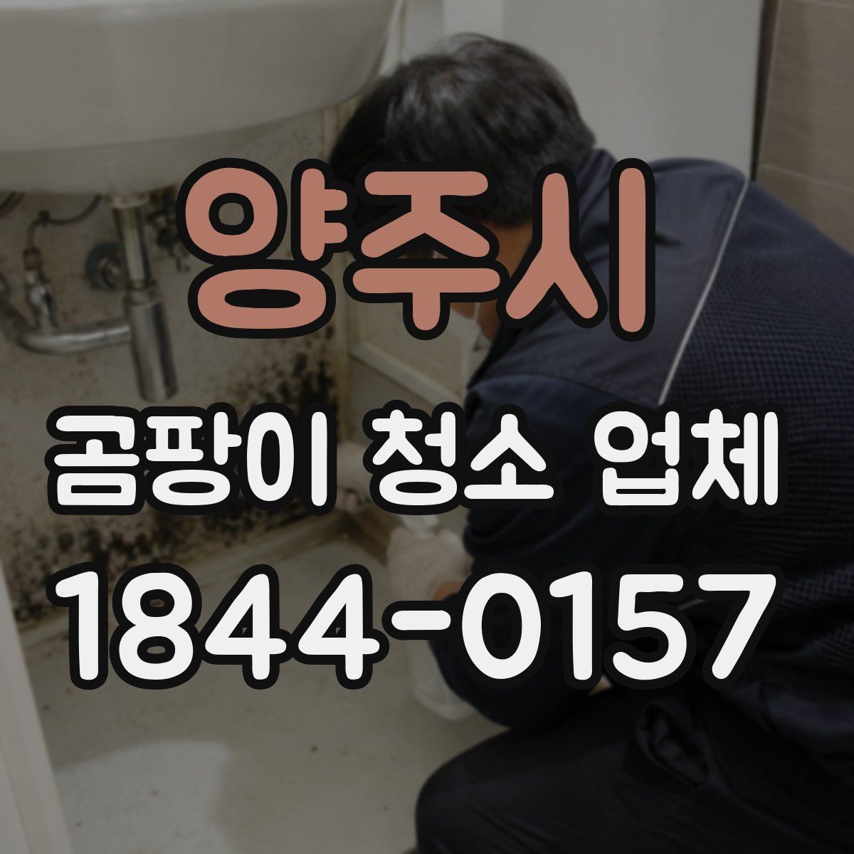 양주시 곰팡이 청소 업체