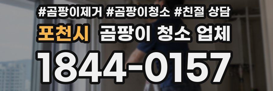 포천시 곰팡이 청소 업체