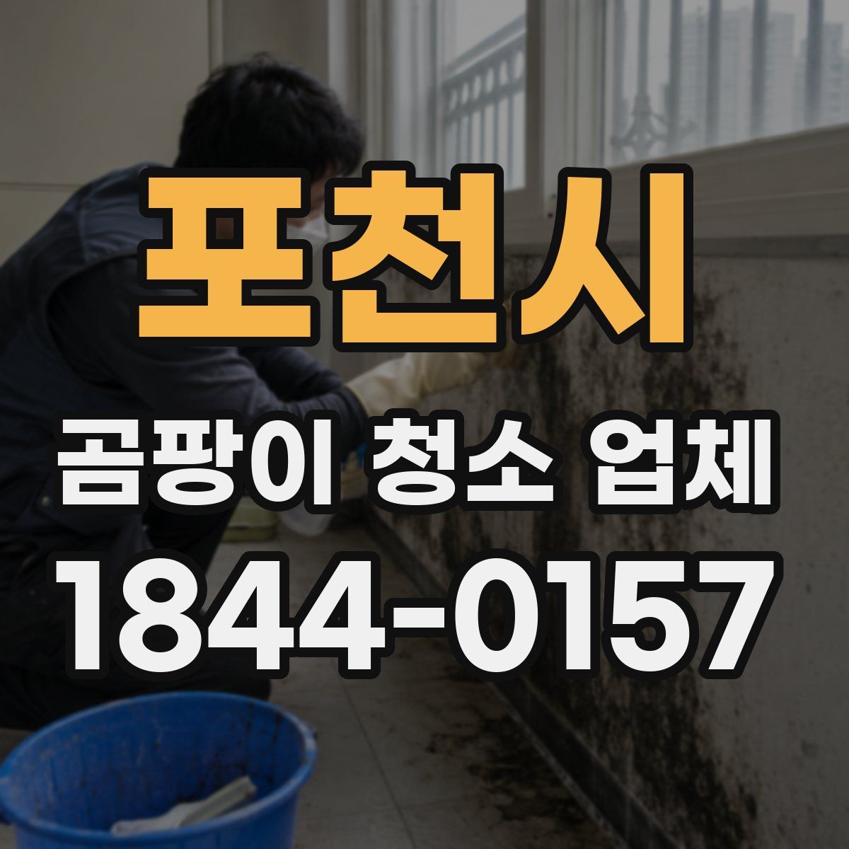 포천시 곰팡이 청소 업체