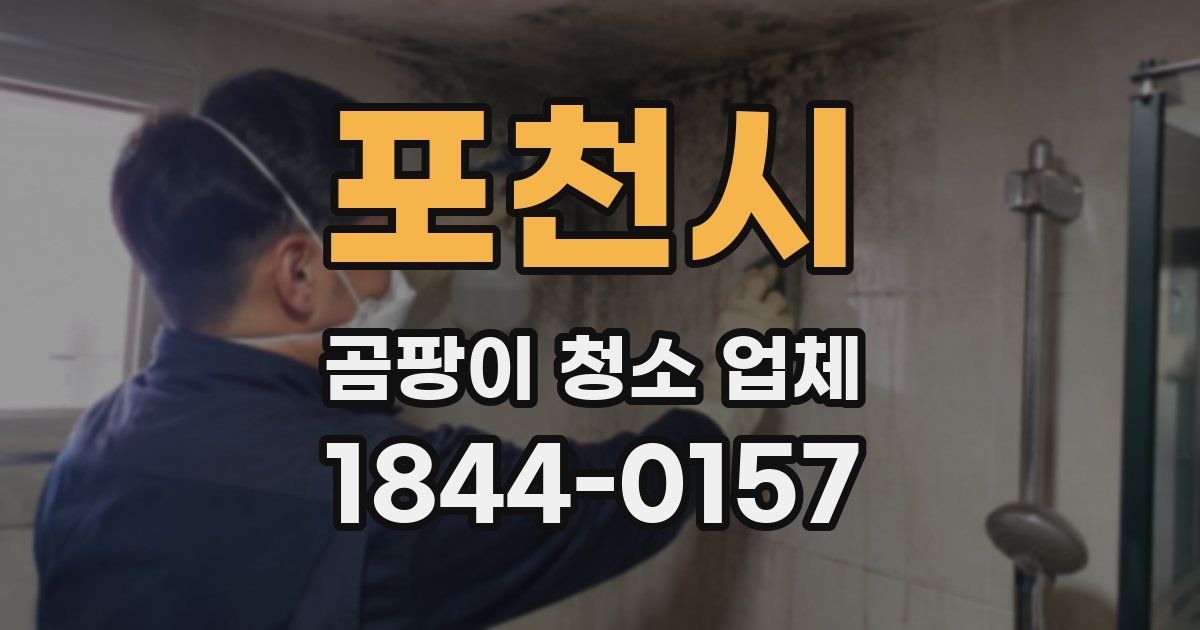 포천시 곰팡이 청소 업체