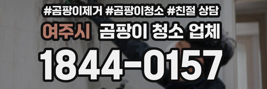 여주시 곰팡이 청소 업체