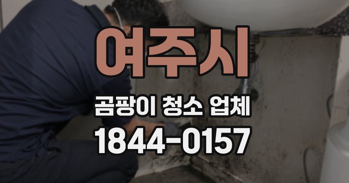 여주시 곰팡이 청소 업체
