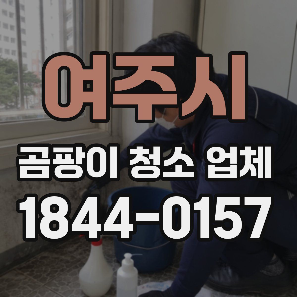 여주시 곰팡이 청소 업체