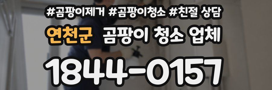 연천군 곰팡이 청소 업체
