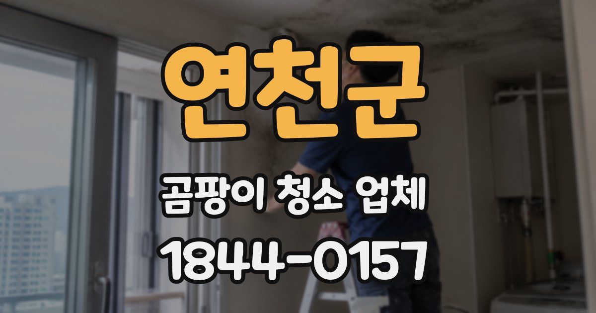 연천군 곰팡이 청소 업체