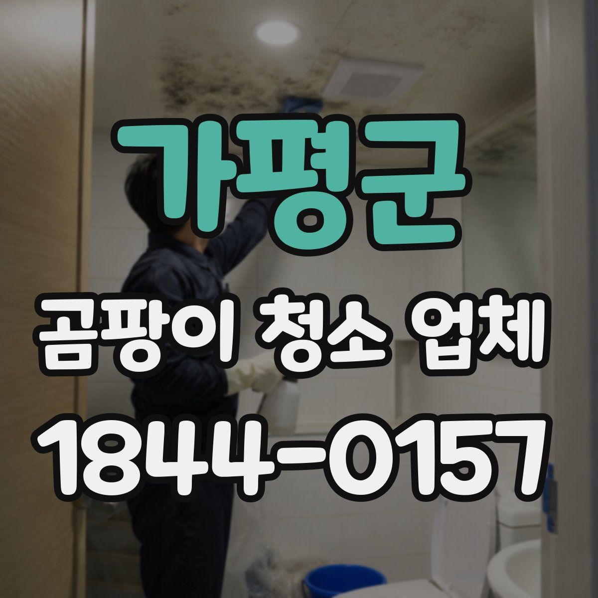 가평군 곰팡이 청소 업체
