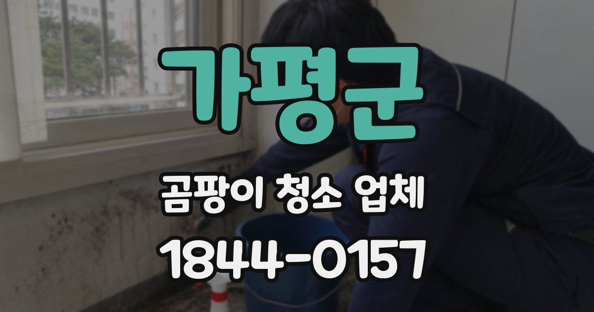 가평군 곰팡이 청소 업체