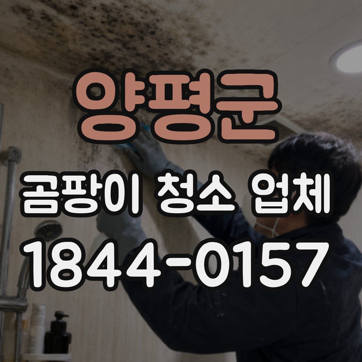 양평군 곰팡이 청소 업체 요청이 많은 계절과 이유