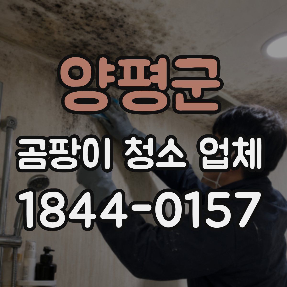 양평군 곰팡이 청소 업체