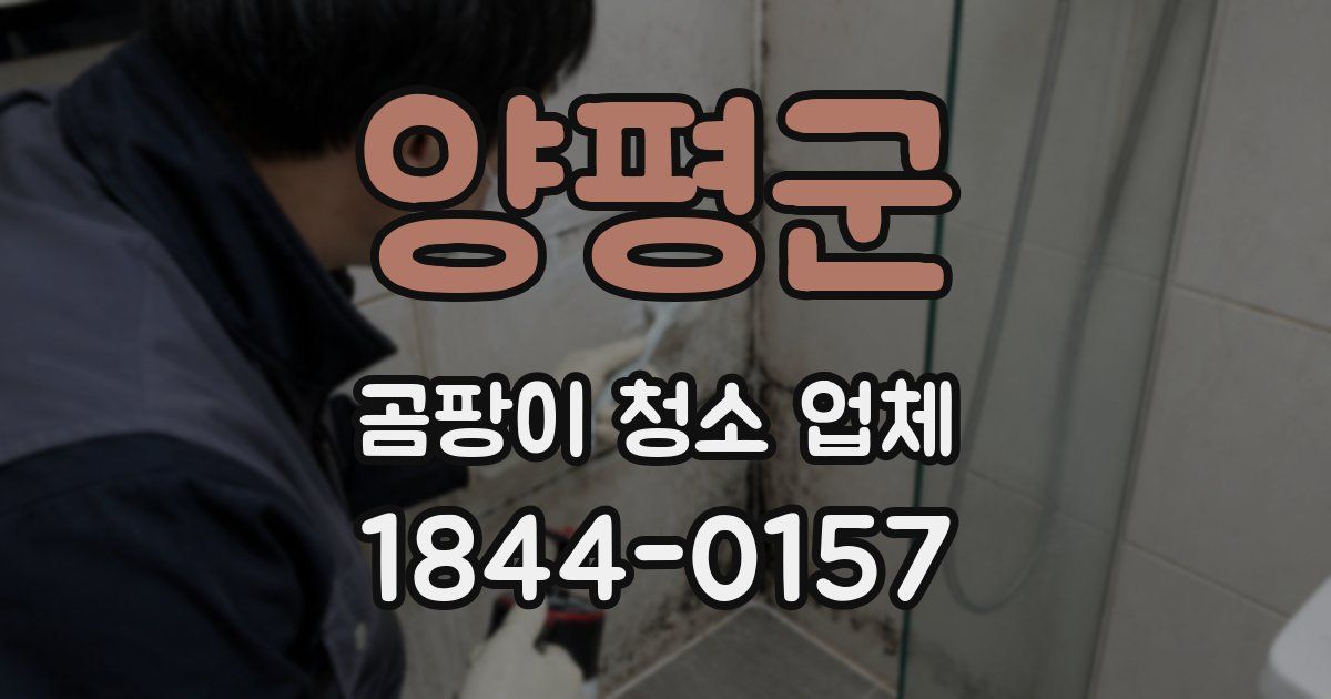 양평군 곰팡이 청소 업체