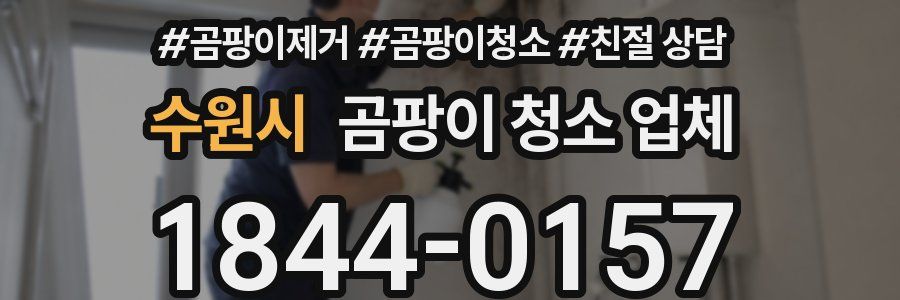 수원시 곰팡이 청소 업체