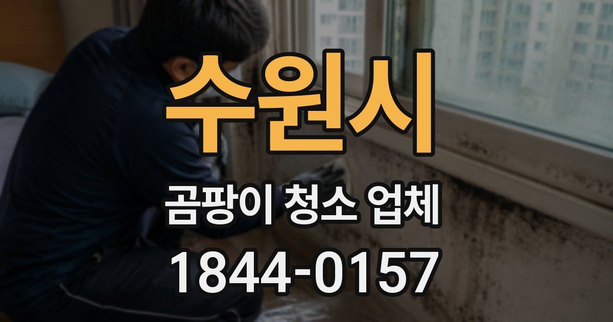 수원시 곰팡이 청소 업체