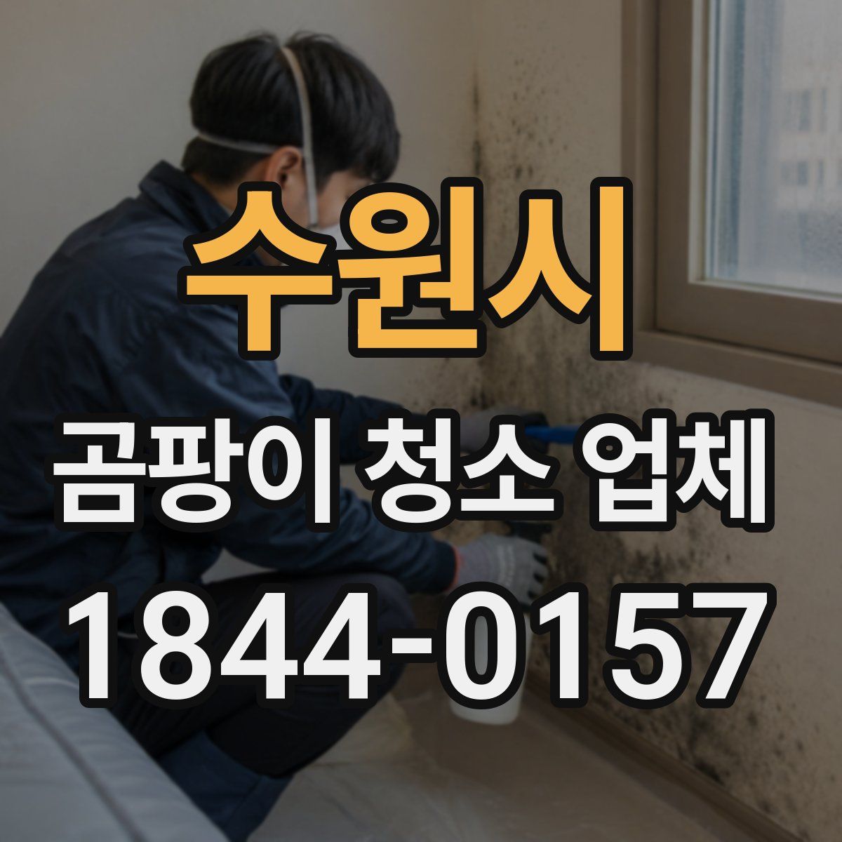 수원시 곰팡이 청소 업체