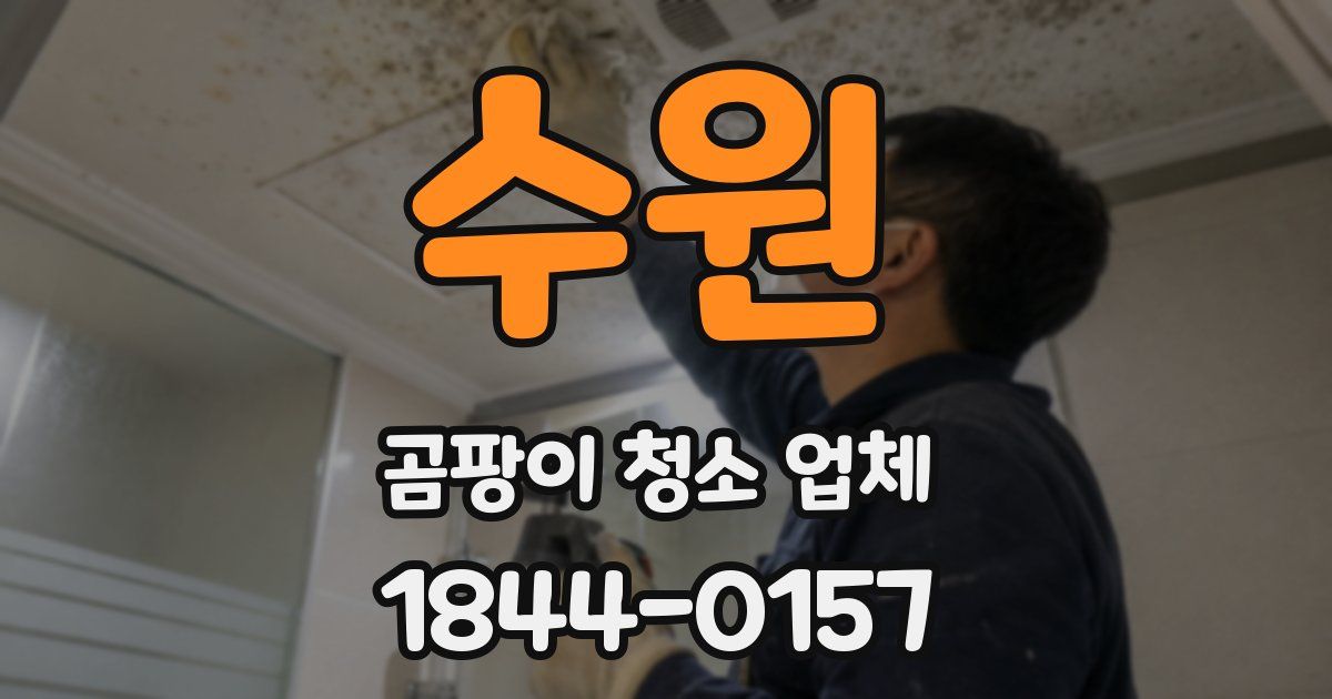 수원 곰팡이 청소 업체