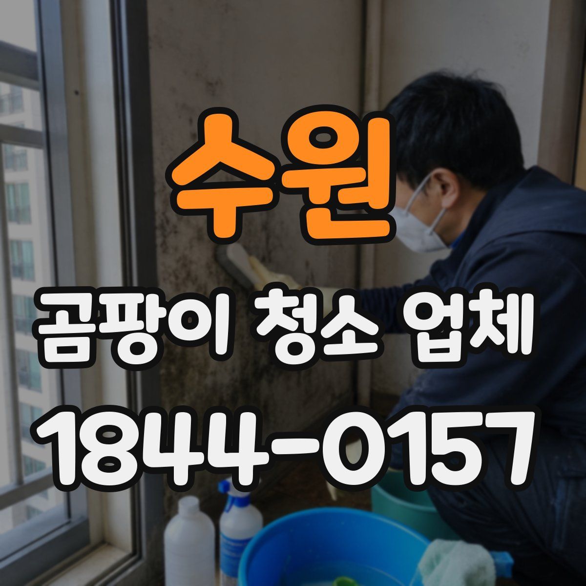 수원 곰팡이 청소 업체