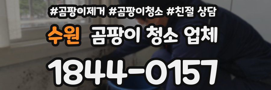 수원 곰팡이 청소 업체