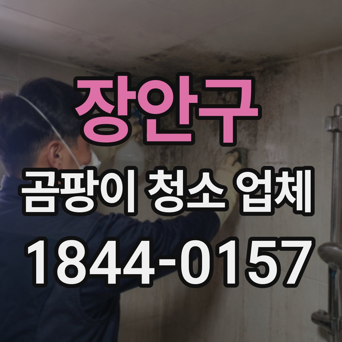 장안구 곰팡이 청소 업체