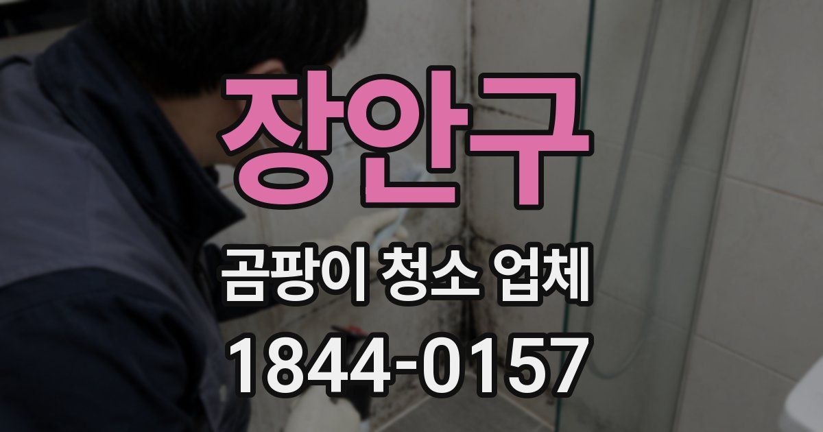 장안구 곰팡이 청소 업체