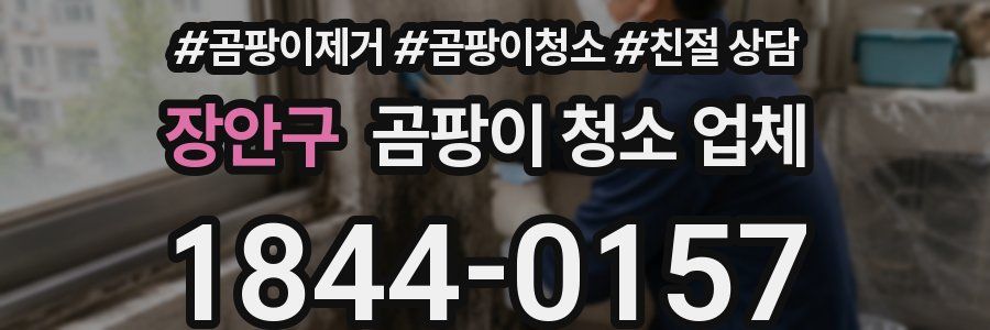 장안구 곰팡이 청소 업체