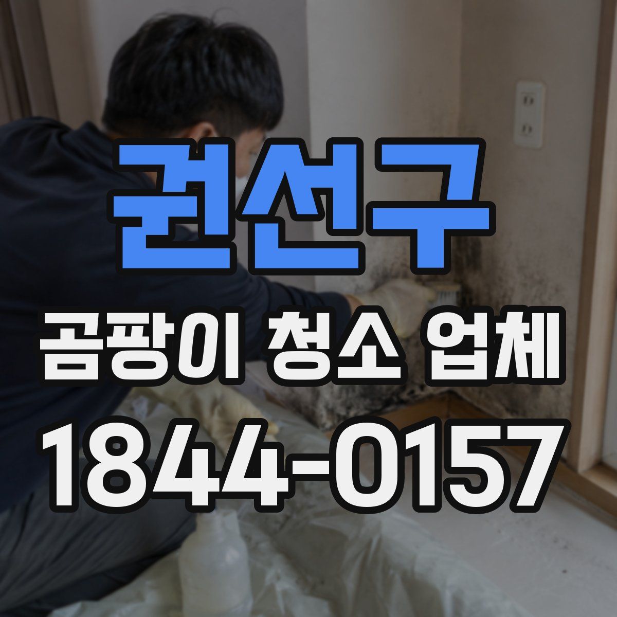 권선구 곰팡이 청소 업체