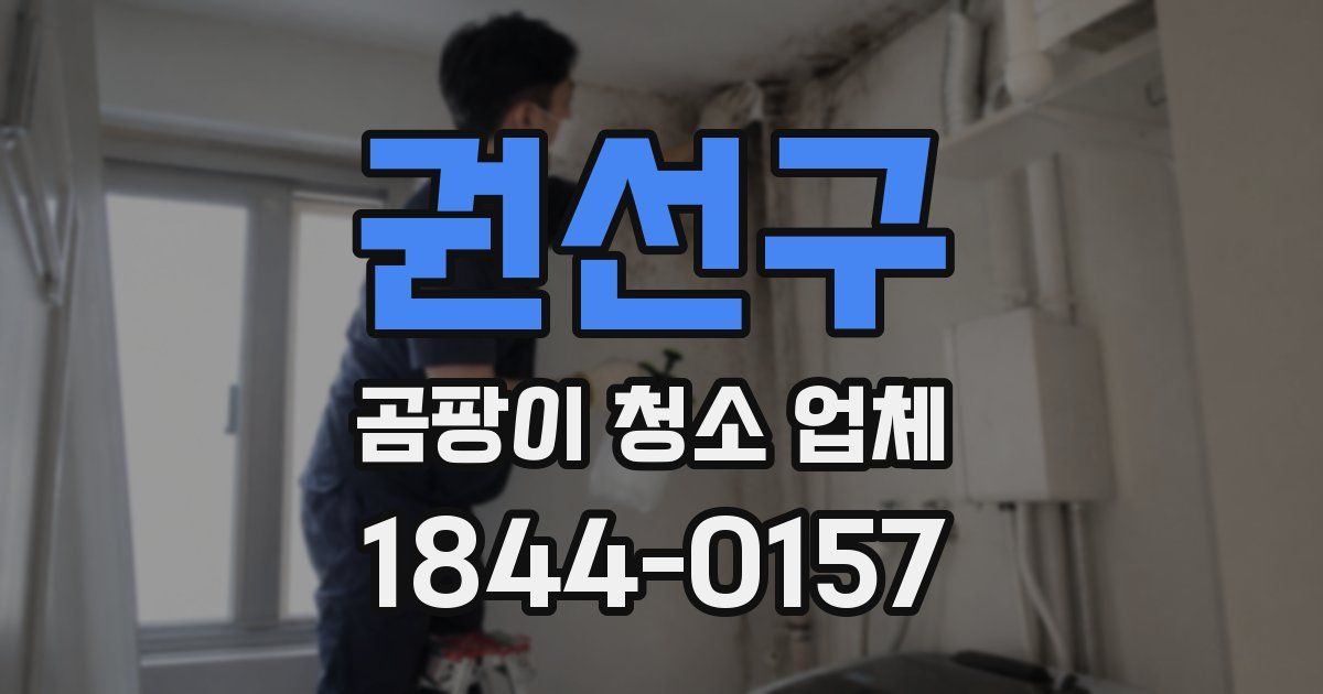 권선구 곰팡이 청소 업체