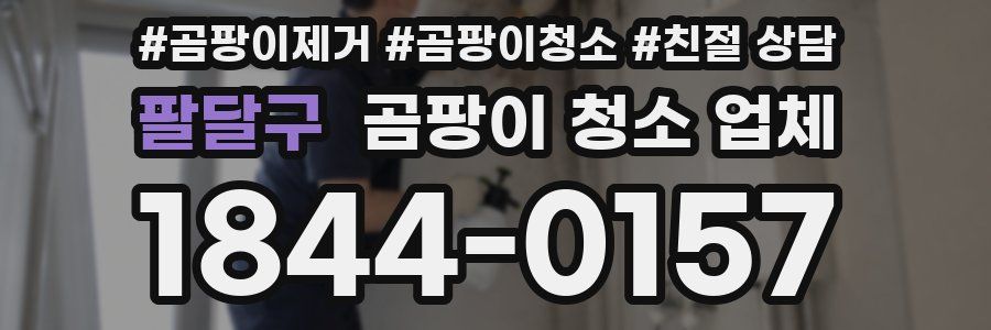 팔달구 곰팡이 청소 업체
