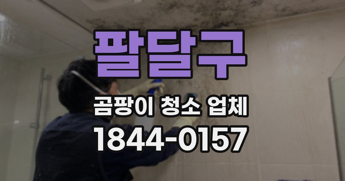 팔달구 곰팡이 청소 업체
