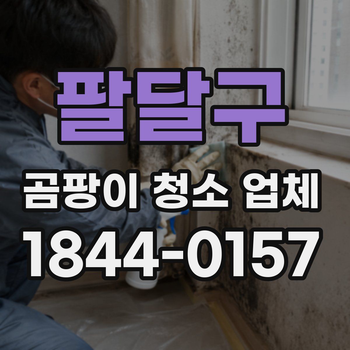 팔달구 곰팡이 청소 업체