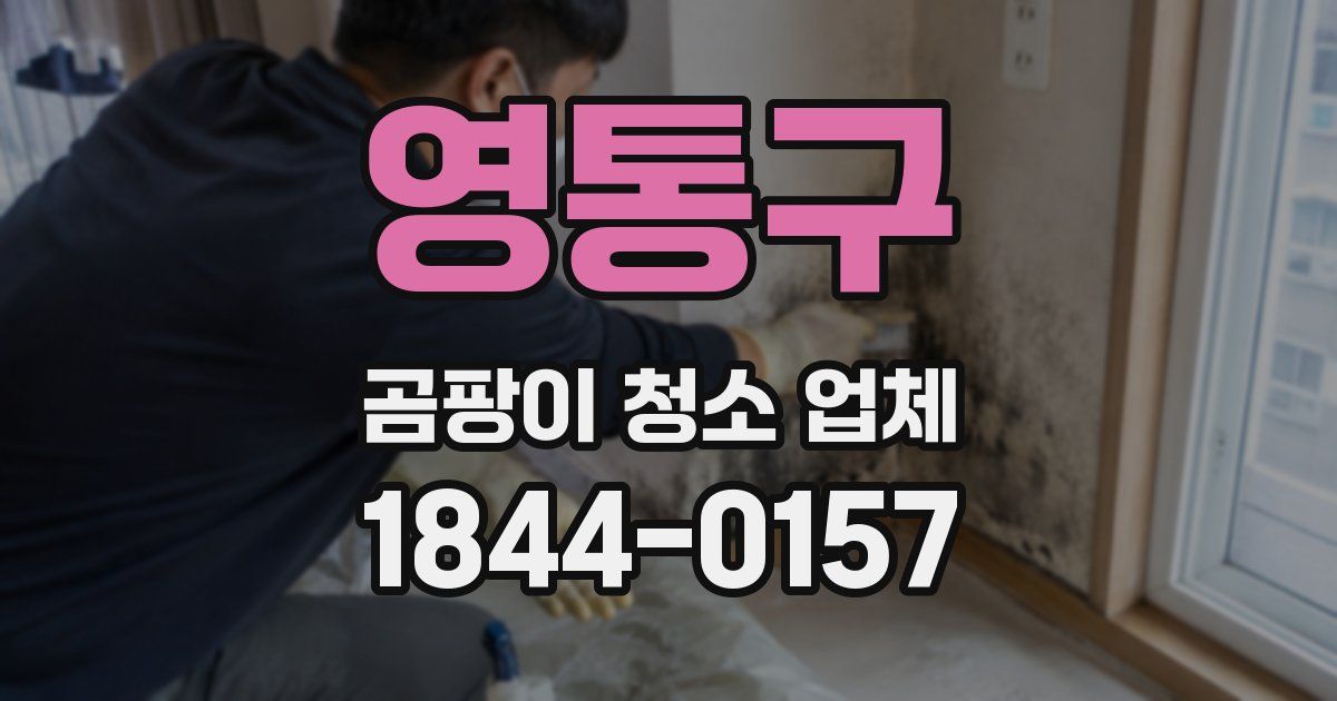 영통구 곰팡이 청소 업체
