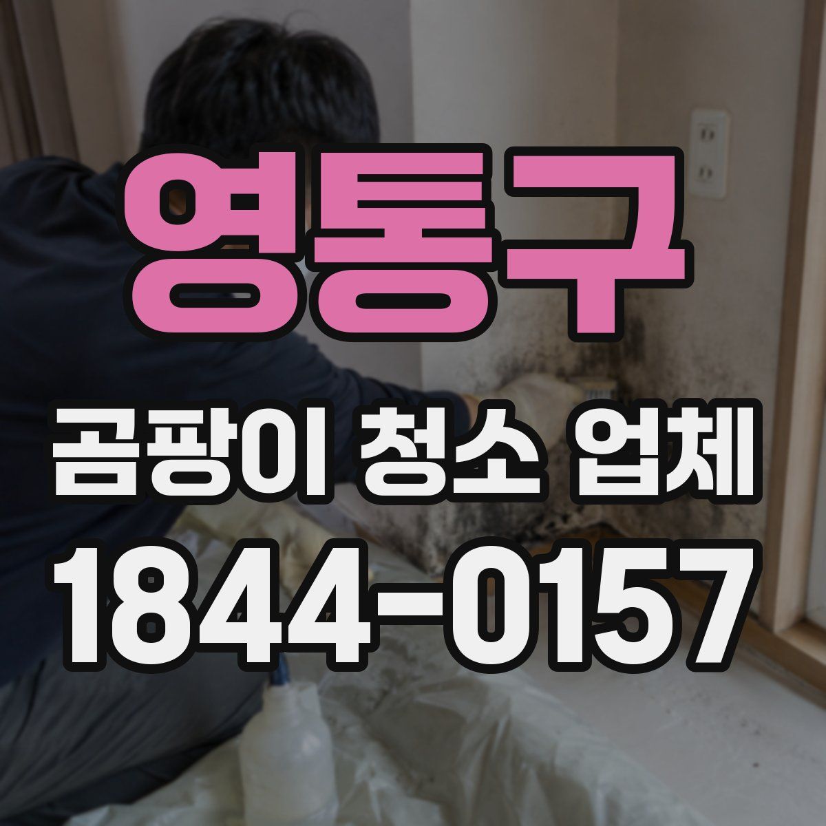 영통구 곰팡이 청소 업체