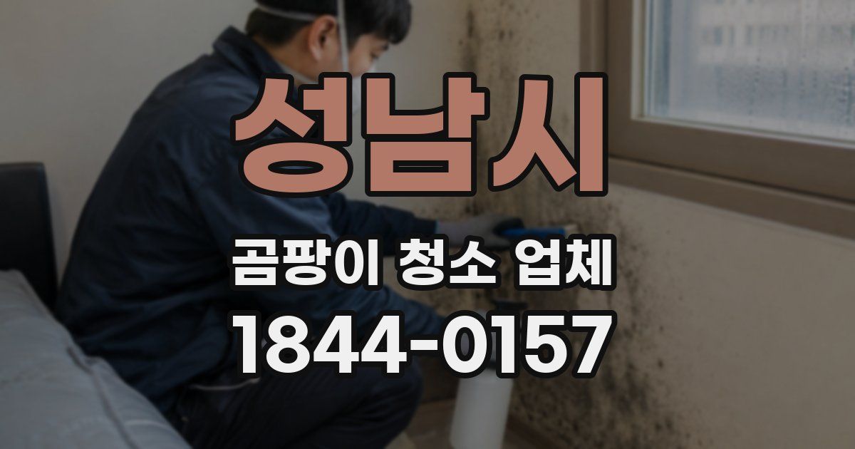성남시 곰팡이 청소 업체