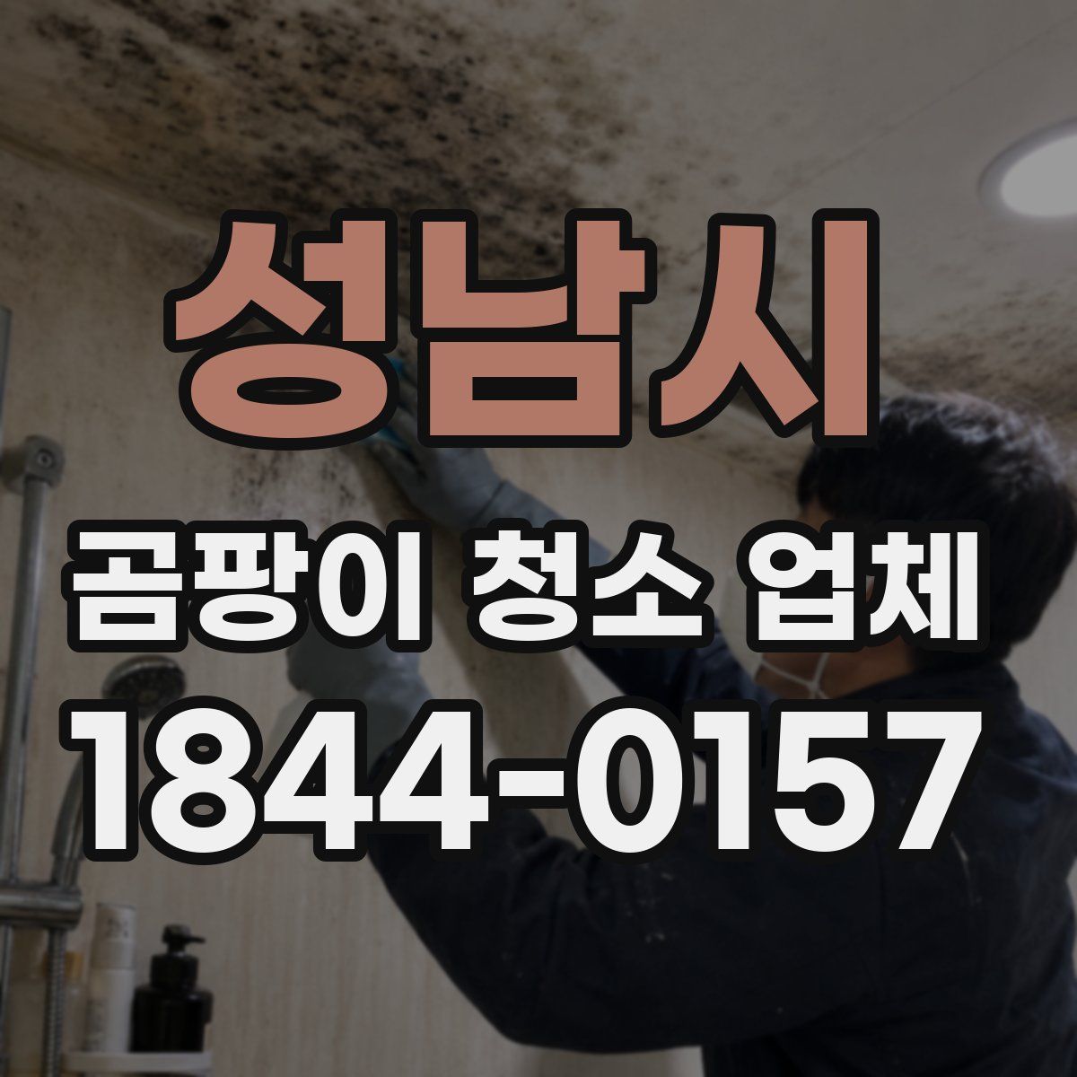 성남시 곰팡이 청소 업체