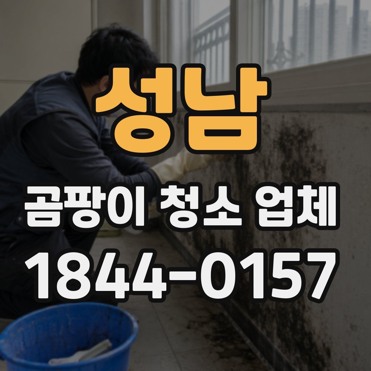 성남 곰팡이 청소 업체