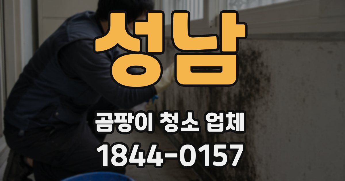 성남 곰팡이 청소 업체