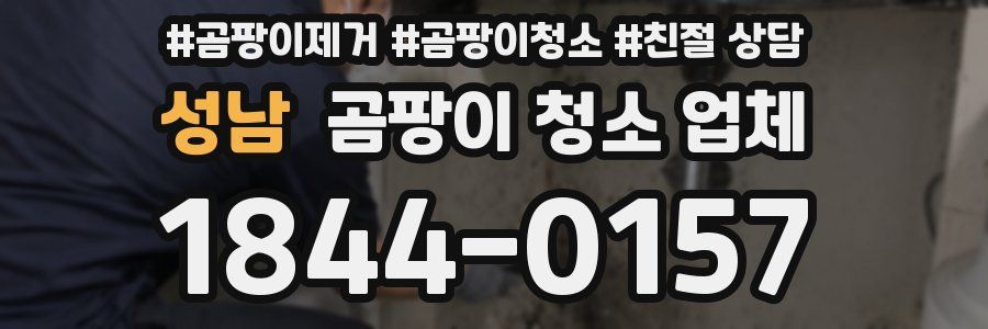 성남 곰팡이 청소 업체