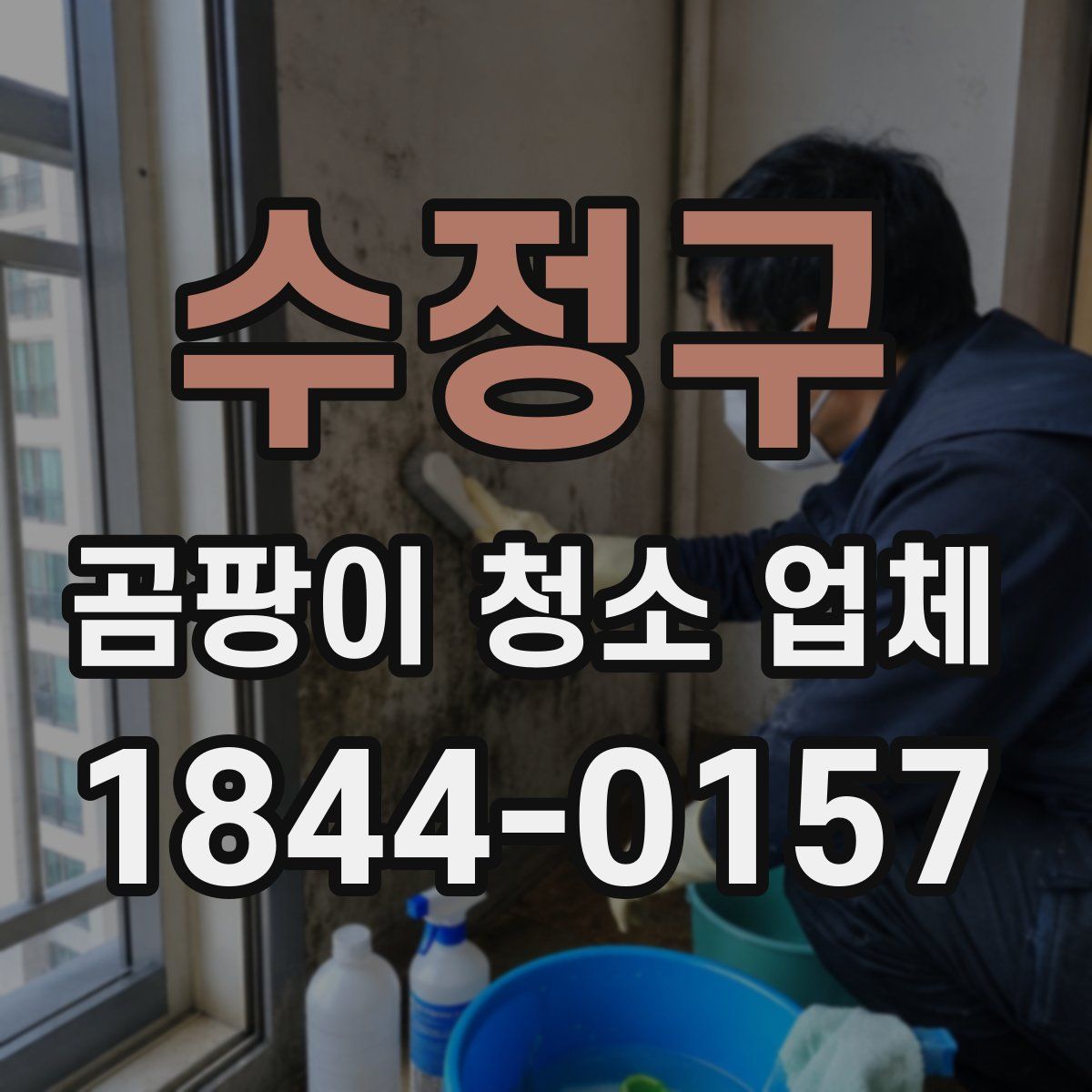 수정구 곰팡이 청소 업체