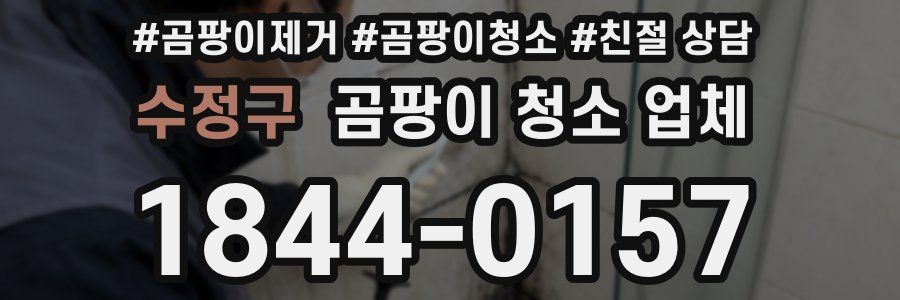 수정구 곰팡이 청소 업체