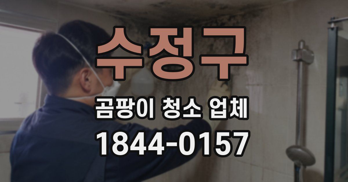 수정구 곰팡이 청소 업체