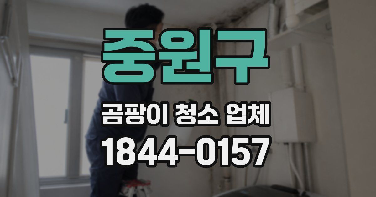 중원구 곰팡이 청소 업체