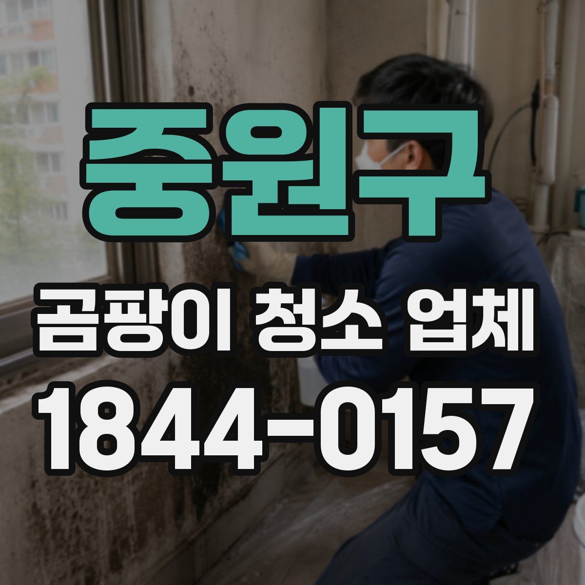 중원구 곰팡이 청소 업체