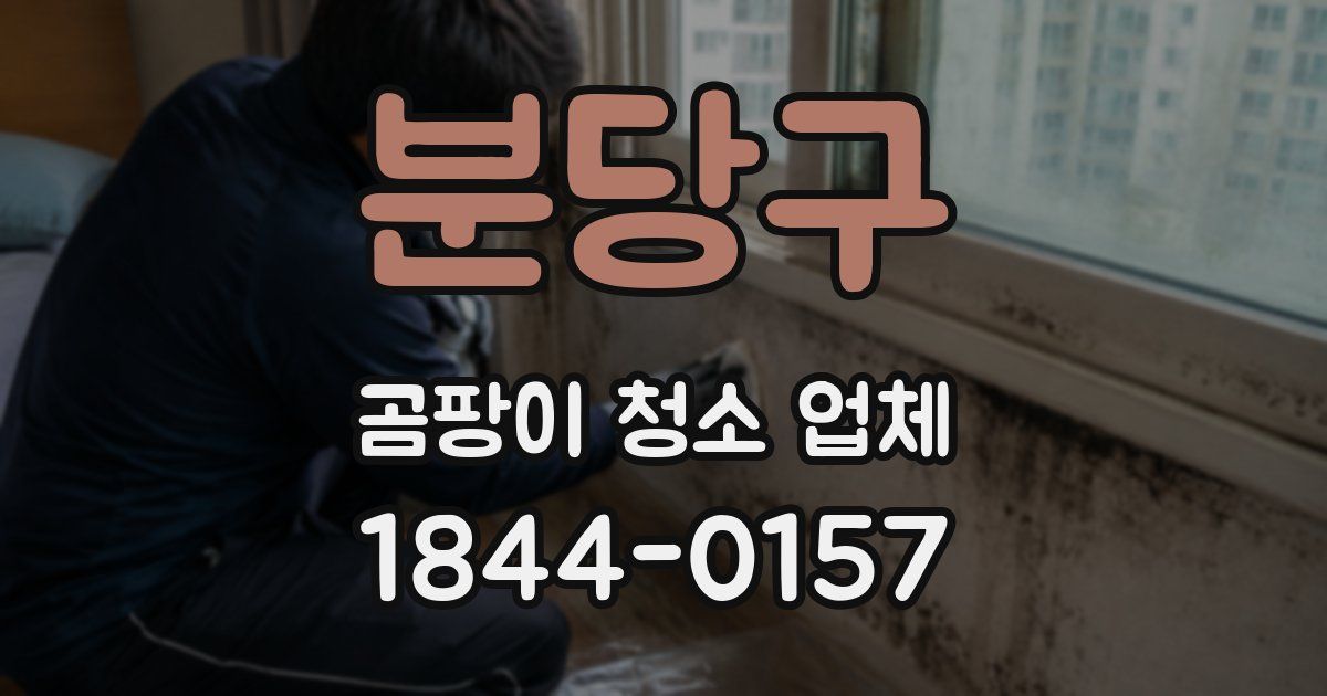 분당구 곰팡이 청소 업체
