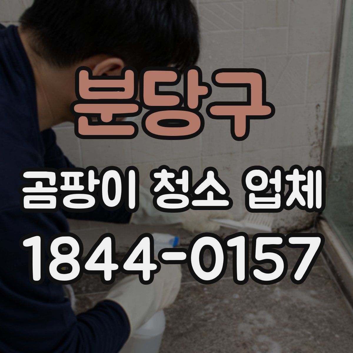 분당구 곰팡이 청소 업체